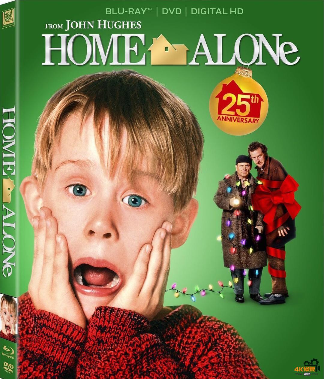 home alone 5 home alone 5